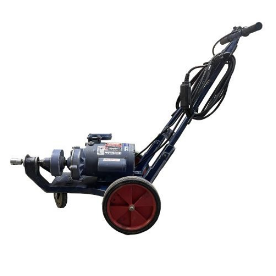 Picture of EEL, ELECTRIC